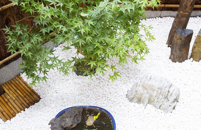 Higashiyama Sho - Photo 15