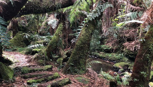 Xaxins Trail Hiking Tour - Photo 2