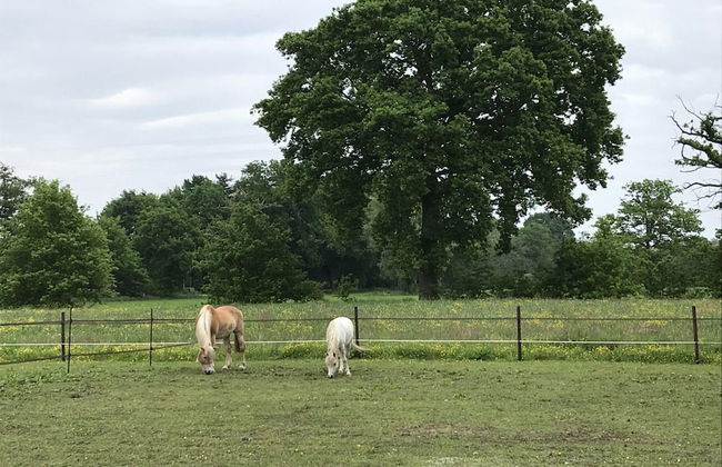 Beautiful Holiday Home in Vlaanderen With Shared Pool - Foto 78