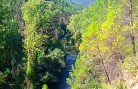 Casa Juanillo - Foto 17