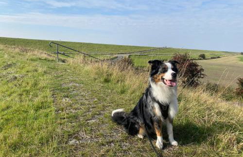 Petkumer Deichkoje - Foto 24