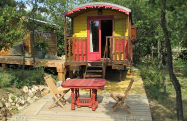 Le Mas du Fort - Foto 77