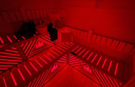 Las Biala's - Domki z sauną i jacuzzi w Puszczy Noteckiej - Tylko dla dorosłych - Foto 22