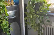 Studio 154 - Foto 11