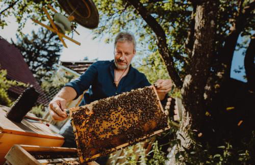 Babel´s Auszeit - Foto 68