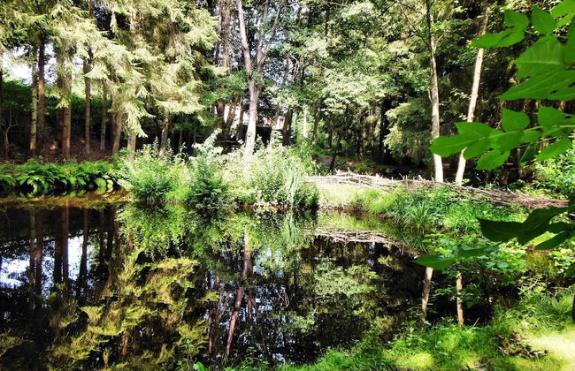 Chalet in Wibrin Near Achouffe Brewery - Foto 31