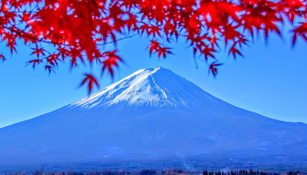 Mount Fuji & Lake Ashi Day Trip - Foto 2