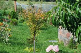 Agrosturystyka Leśna 21 - Foto 34