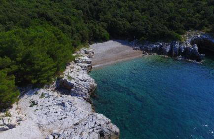 RENATOEMILIA spacious apartment with courtyard - Photo 1