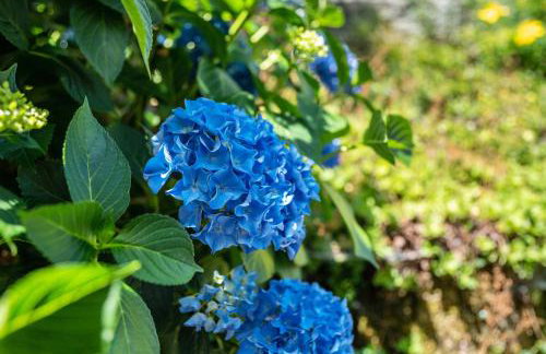 Ferienwohnung s'Raubers - Foto 27