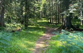 Au Temps Passé - Photo 54