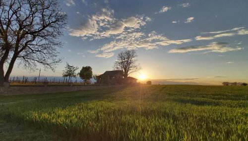 Izletište Opatovac - Foto 2