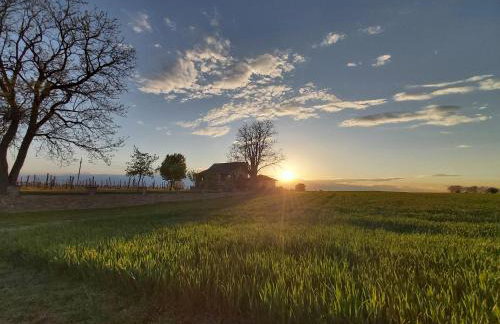 Izletište Opatovac - Foto 2