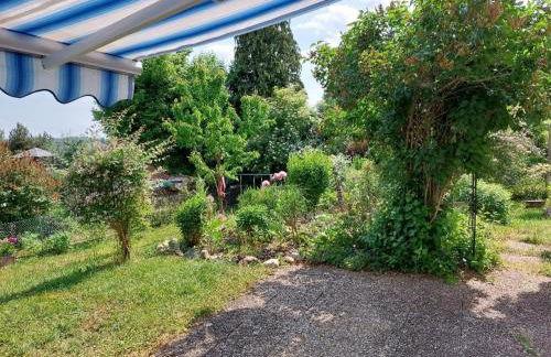 Hibiskus - a83456 - Foto 21