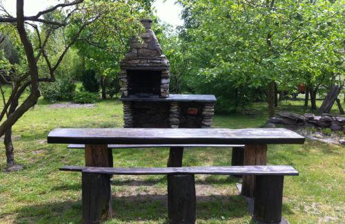 W Starym Sadzie - Foto 12