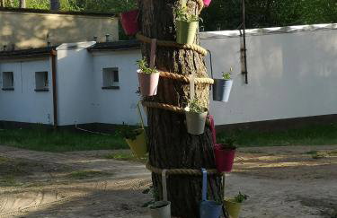 Skorzęcin Przytulny Zakątek - Foto 18