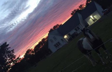 Gellyburn Cottage a Modern Farm Cottage with Countryside Views - Foto 62