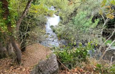 Anguiano Habitaciones rurales con baño privado - Foto 21