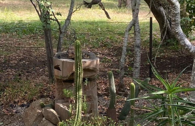 Sutton Spring Art Retreats - Foto 67