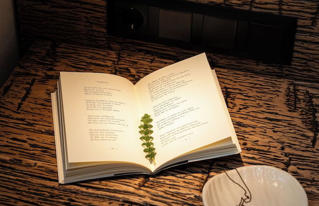 Maison Michelangelo - Photo 58