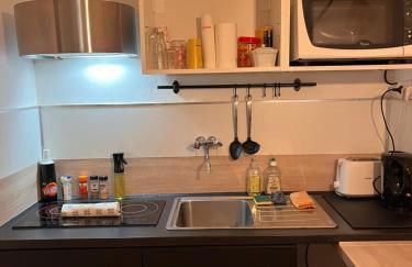 T1 en face de la Timone - Foto 7