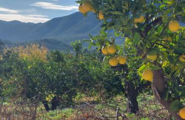 Casita Vida Moraira - Foto 18