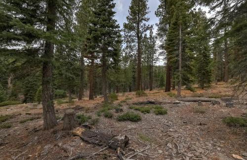 Alpine Escape: Tahoe Oasis Steps from Lake - Foto 29