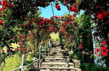 Winelicious - Arrive & Enjoy - Foto 2