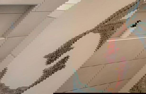 Morning Glory - Foto 63