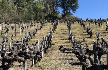 DÚPLEX DUQUESA - Foto 55