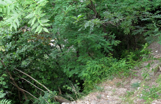 Les Galets - Foto 25