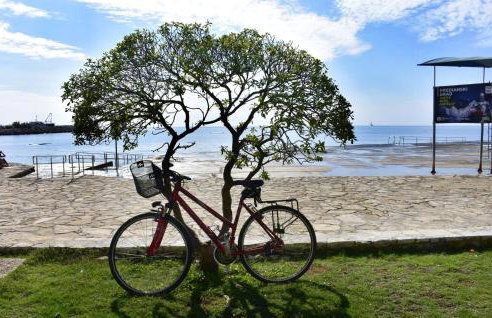 House with private jacuzzi near Umag - Photo 28