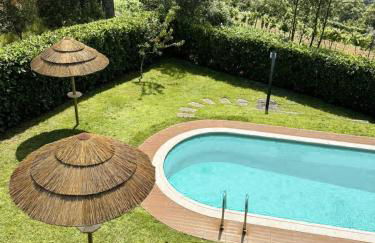 Casa das Castanhas - Cinfães, Viseu - Foto 59