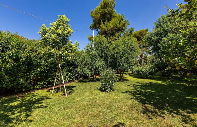 3111 Villa Carra by Perle di Puglia - Foto 44