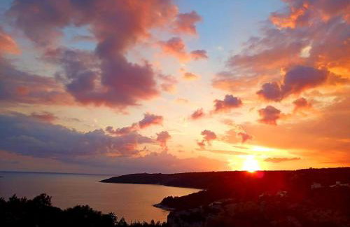 LUXURY VILLA ŠENTADA - Photo 39