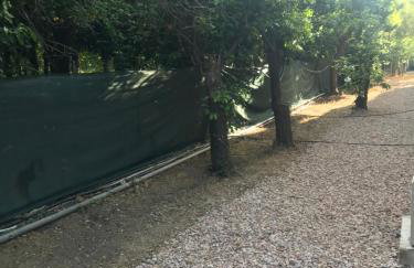 Serenity in the unique nature of Kampos, Chios - Foto 28