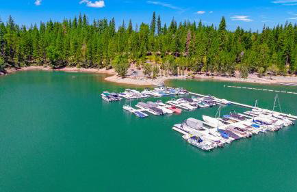 Home in the Pines - Apple Hill - Dog Friendly - Snow Nearby - Foto 39