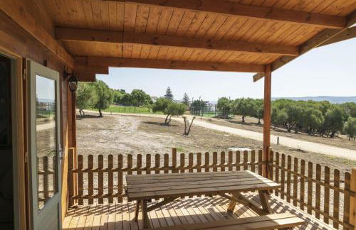 Finca Florida - Foto 26