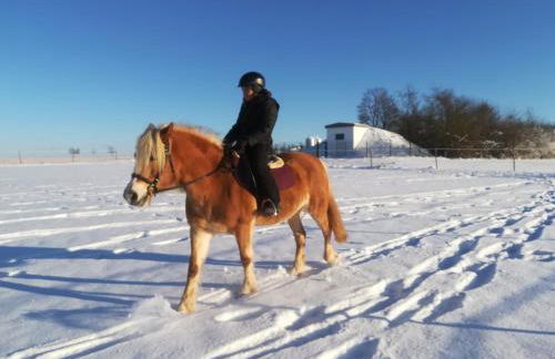 Ferienhof Veit - Foto 42