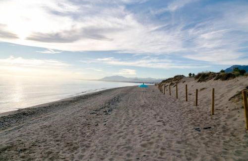 First Line Beach Beautiful and Bright Home - Photo 36