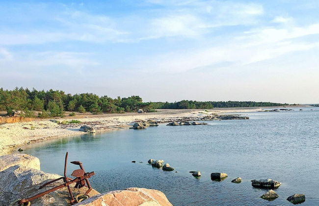 4 Person Holiday Home in Gotlands.tofta - Photo 62