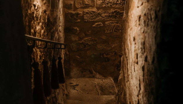 Visita a las bodegas Alútiz - Foto 3