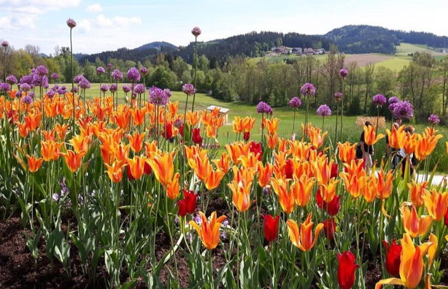 Ruhiges Ferienhaus in der Nahe von Wanderwegen - Foto 38