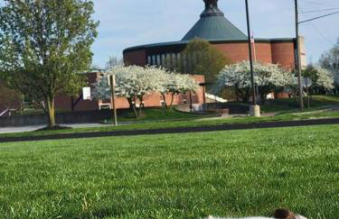 Downtown Getaway, Historic & Peaceful, FREE Bikes - Foto 3