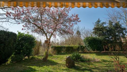 FeWo Oasis - Foto 2, Garden