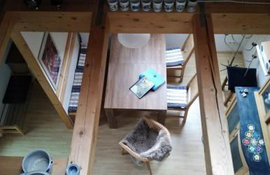 Ferienwohnungen am historischen Ludwigskanal - Foto 6