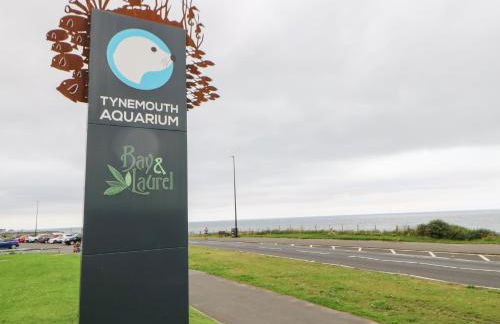 Marden Mews - Photo 32