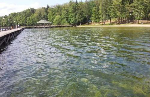 Holiday Home Dario by Interhome - Foto 38