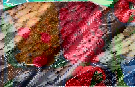 Ca D'Pandin - Foto 12