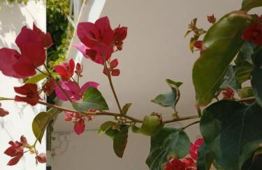 Phil Samosflats Beachfront Maisonettes - Foto 42